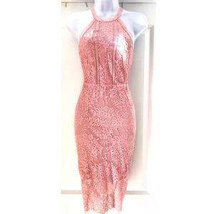 Express lace open back dress